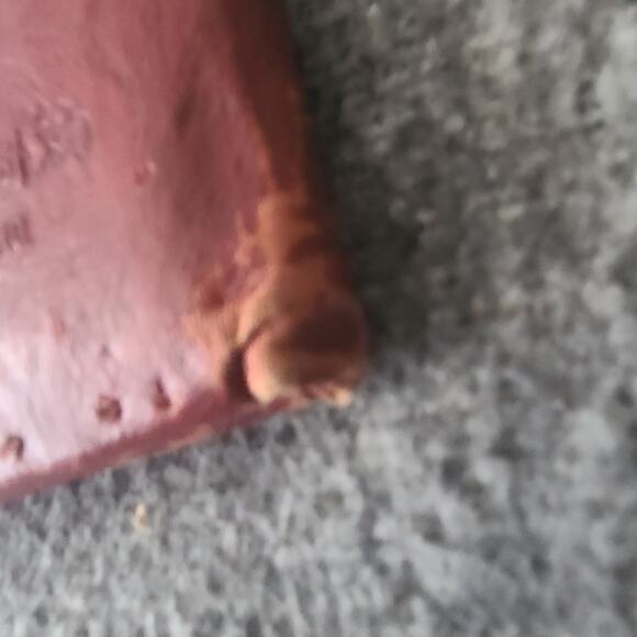 1956 the Kernel  year book some damage  all pictures  all there - Picture 4 of 12